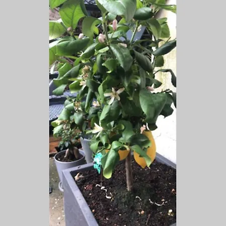 فيلة Maison Pierre Avec Piscine Chauffee *