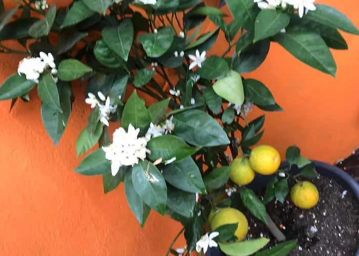 Maison Pierre Avec Piscine Chauffée Villa