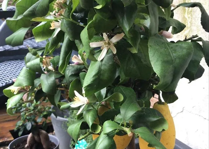 Maison Pierre Avec Piscine Chauffée Burdeos