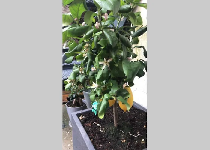 Villa Maison Pierre Avec Piscine Chauffee *