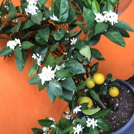 Maison Pierre Avec Piscine Chauffee Villa